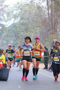 BIB: 10897, 10072, 11378
                            <button type="button" onclick="openModal(10409969)" class="btn btn-primary btn-sm float-right btn-popup" data-toggle="modal" data-target=".modal-high-quality">
                        <i class="fas fa-shopping-cart"></i> Add to Cart
                    </button>
                                            <button type="button" onclick="isThisMe(10409969, true)" class="btn btn-success btn-sm float-right btn-popup btn-isme hidden" data-toggle="tooltip" data-placement="bottom" title="นี่คือรูปของคุณใช่ไหม คลิกที่นี่เพื่อเอาเข้าอัลบั้ม">
                        <i class="fas fa-plus"></i> Add to album
                    </button>
                    <button type="button" onclick="isThisMe(10409969, false)" class="btn btn-warning btn-sm float-right btn-popup btn-isnotme hidden">
                        <i class="fas fa-ban"></i> Remove from album
                    </button>